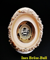 IMG_20251105_224055 (004)