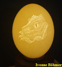 drache-schluepft-kopf